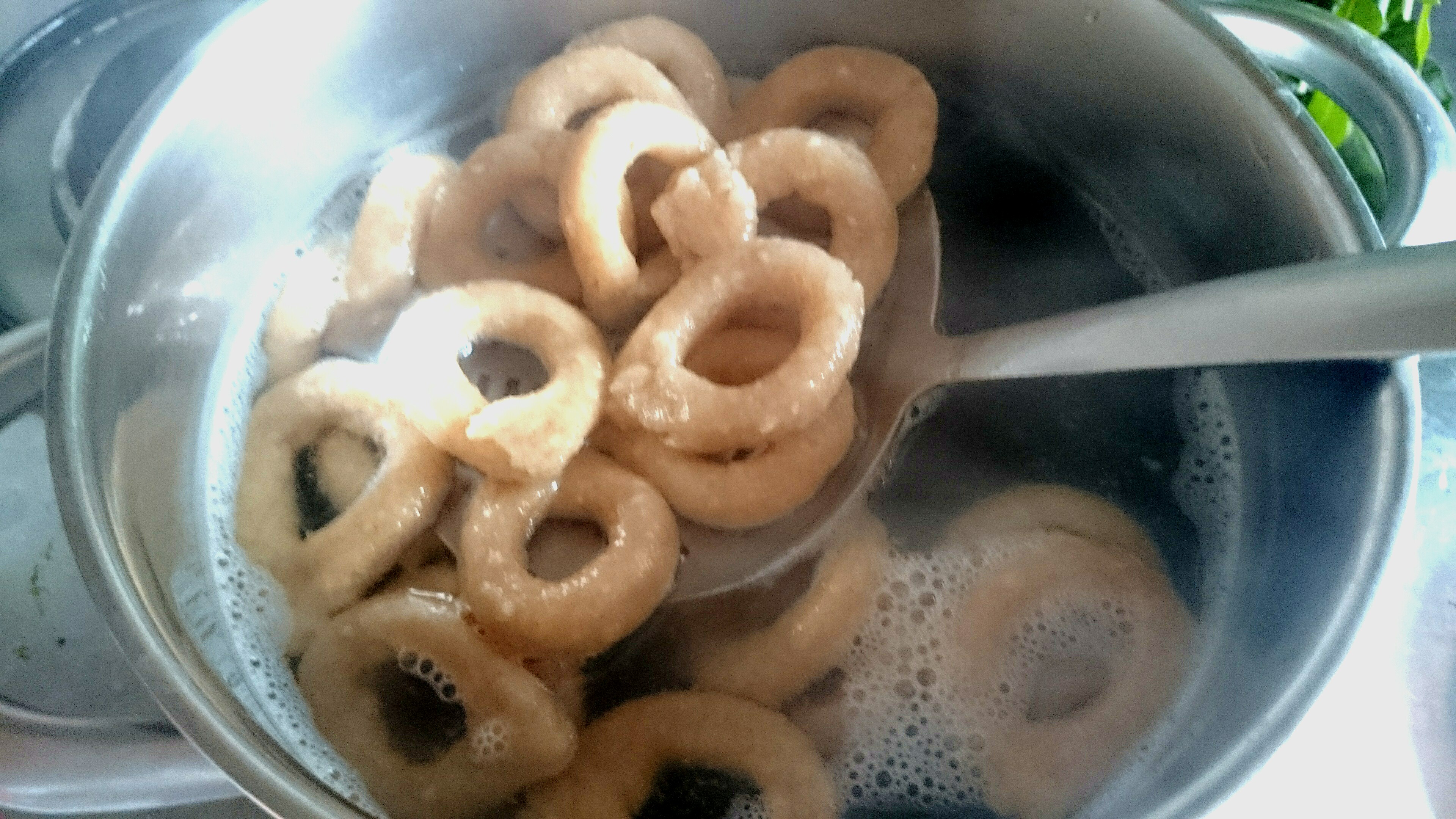 scola taralli